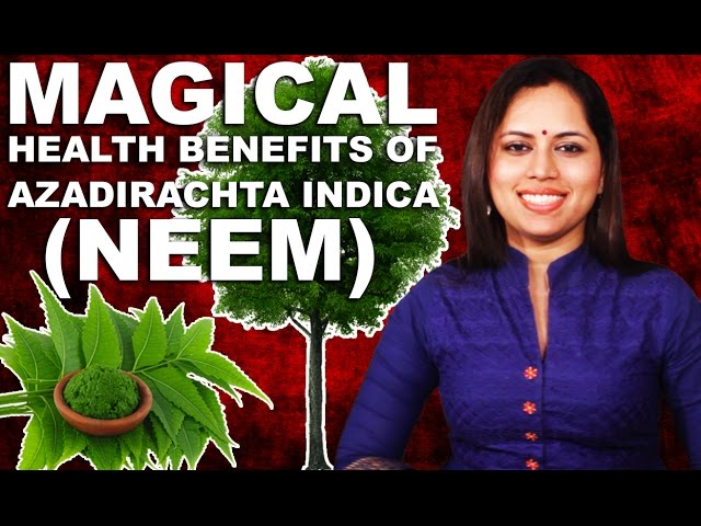 Video Pronunciation of Azadirachta indica in English