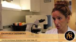 Center for Human Reproduction (CHR) is home to some of the best fertility specialists in the world.