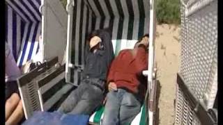 Flotte Bienen auf Liebestour