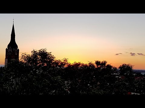 What I've been up to (quick update) :)