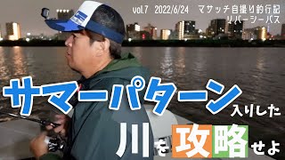 【自撮り釣行】夏のリバーシーバス激むず!