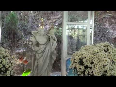 MARESIA E FLOR DE JAGUBE - F.D.J. - MESTRE 37 E 38