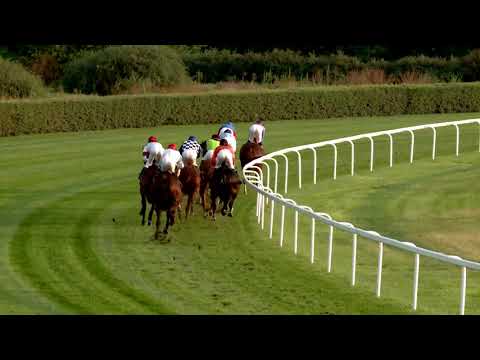 2019.09.08. 09. futam - KINCSEM DÍJ (HUN Gd-1) (NGL-VII.)