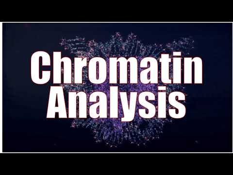 Histone modifications Part 1: Chromatin analysis techniques