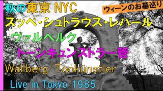 Download lagu 【番外編】秋の東京NYC/スッペ、シュトラウス、レハール/ハインツ・ヴァルベルク＆トーンキュンストラー管弦楽団/Wallberg/Tonkünstler-Orchester/Live 1985 mp3