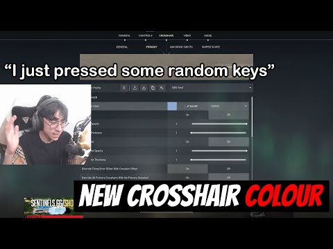 TenZ New Custom Crosshair 24/08/22