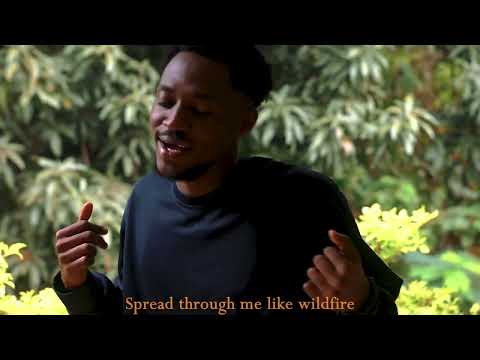 Anendlessocean - Wildfire (Lyric Video)