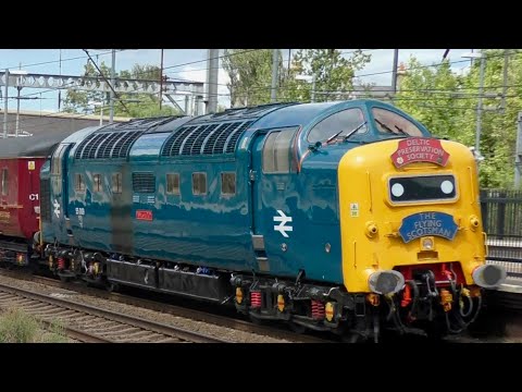 Deltic 55009 Alycidon On The Capital Deltic Reprise Tour At Alexandra Palace , Harringay&Hadley Wood