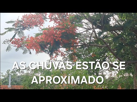as chuvas estão chegando aquiraz Ceará 