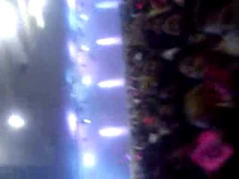 Show Nu'est no Brasil - 15/12/2013