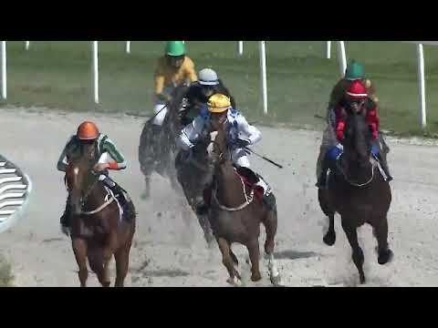 2023.08.13. 4. Futam - VADÁSZ ÉS VERSENYLAP HENDIKEP (V/b.) (szintetikus pálya)