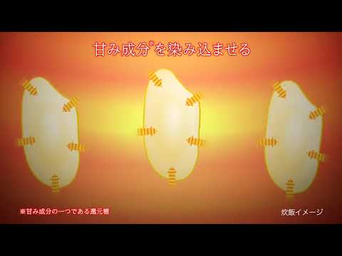 圧力IH炊飯ジャー 極め炊き ブラック NW-JZ10 [5.5合 /圧力IH 圧力IH炊飯ジャー 極め炊き ブラック NW-JZ10 [5.5合 /圧力IH