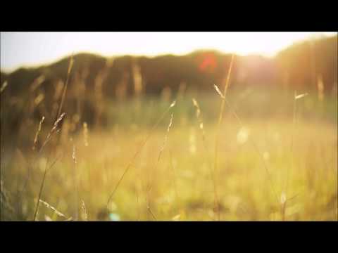 Illesnoise - #2 Such Sweet Summer Sorrow