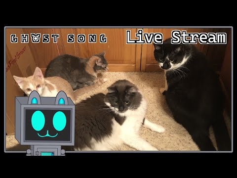 Do Catbots Sing Ghostly Songs? | Ghost Song with the Cats