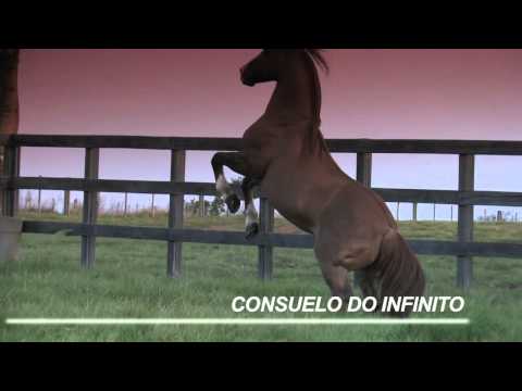 CONSUELO DO INFINITO