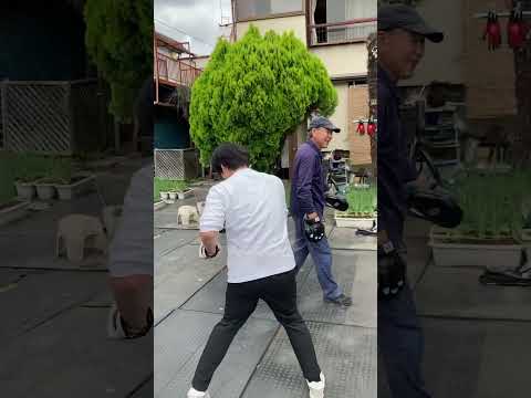 インローがまだカット出来ないせんどー