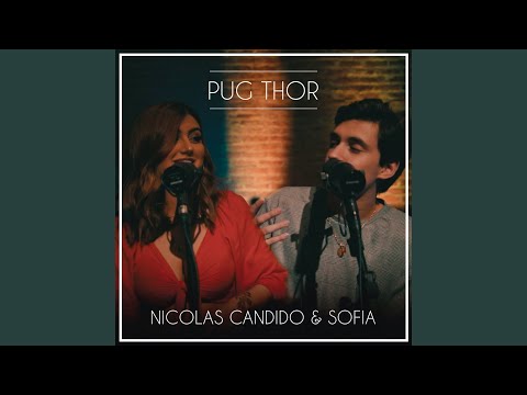 Pug Thor video