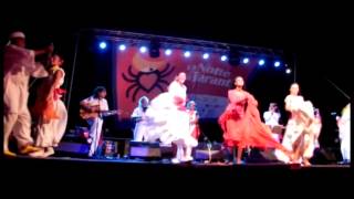 Arakne Mediterranea Pizzica Finale NDT 2011 - Calimera (LE).mpg