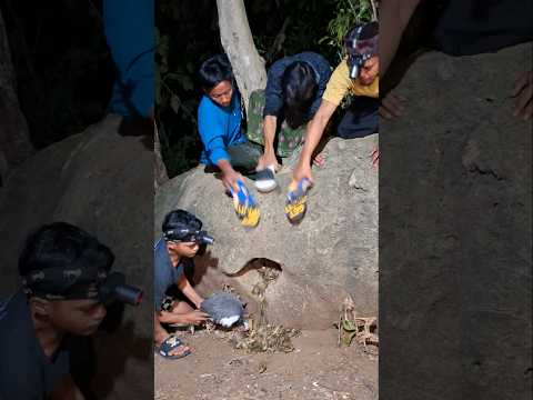 tidak menyangka sebanyak itu #nature #videoshort