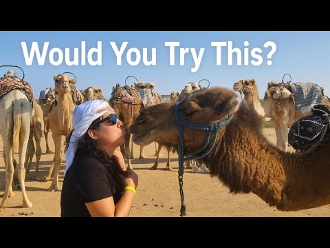First Time Face to Face with a CAMEL… and It Didn’t Go as I Expected 🐪 #travel #africa #camel 