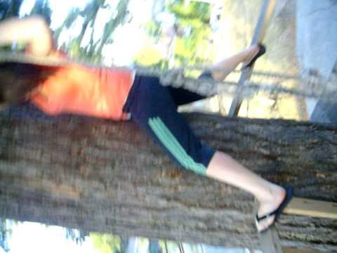 download lagu mp3 mp4 The Cumquat Tree, download lagu The Cumquat Tree gratis, unduh video klip The Cumquat Tree