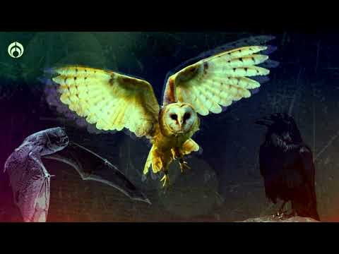 AZUL URANO FT BLESSED - MAL AGÜERO (PROD AZUL URANO)