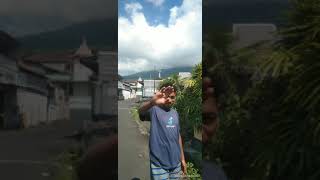 Download lagu Nuhrizal Muhlis Troumpet'²⁰²³ mp3