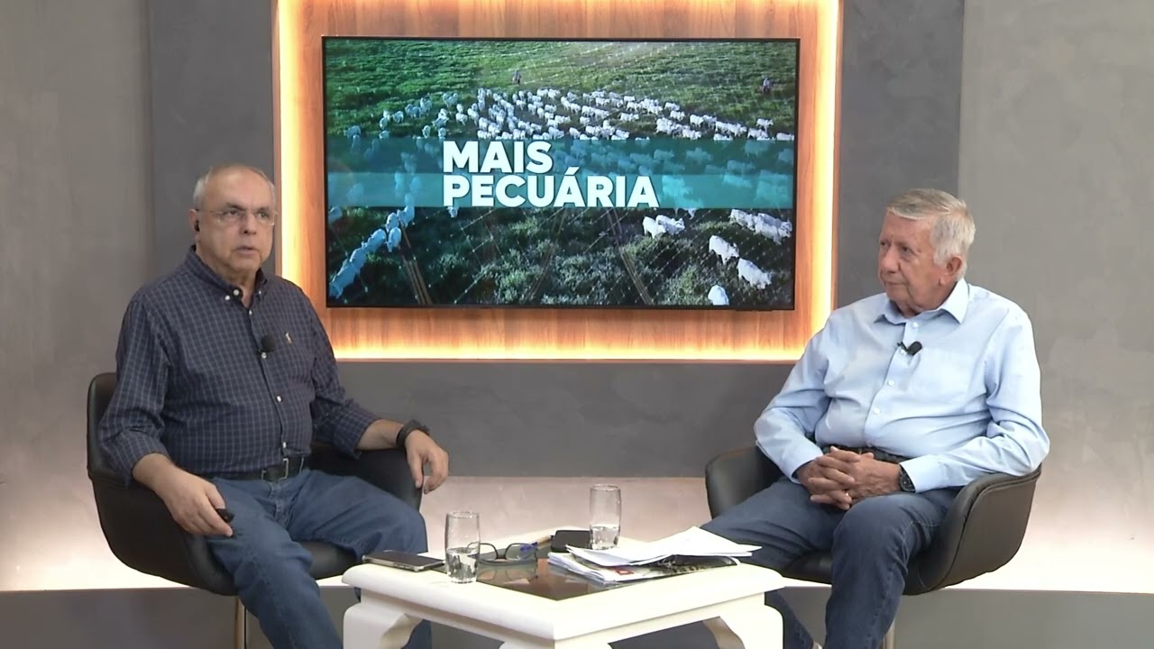 Exportações de carne bovina recuam 18% no início de agosto