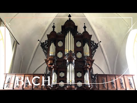 Bach - Concerto in C major BWV 594 - Kofler | Netherlands Bach Society