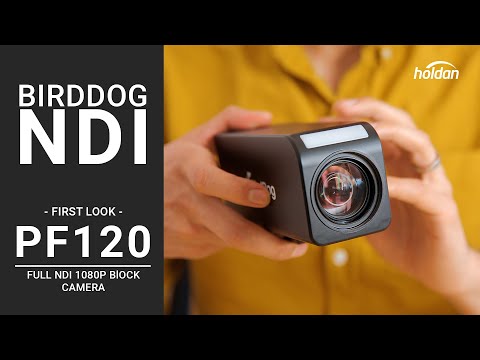 BirdDog PF120 - Holdan