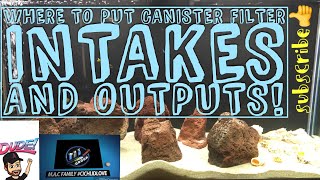 Where do canister filter intakes and outputs go? Where do canister filter intakes and outputs go?