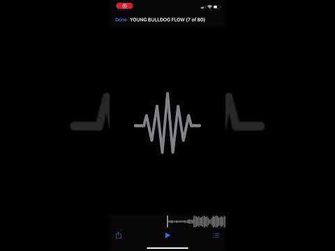 NMG Diesel- yung bulldog flow