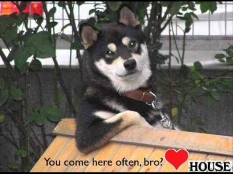 Carlos Gallardo - We, Eloise (Extended Vocal Mix)™