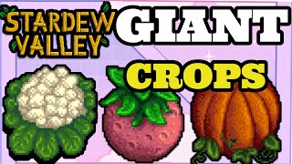 How to get Giant Crops in Stardew Valley