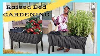 Raised bed gardening and winter seed starting | Keter Easy Grow 31.7 Gallon Raised Garden Bed
