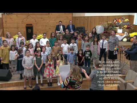 Copii BETANIA TIMISOARA -  Daca as fi arici