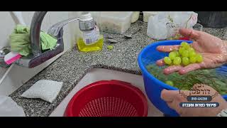 כיצד לשטוף ענבים, ענבים, ניקוי ענבים, הרב יוסף דורפמן, rabbi yosef dorffman