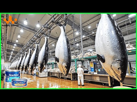 How Canned Tuna Is Really Made | Inside the Factory Process