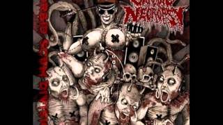 Cardiac Necropsy - Fucked by pigs