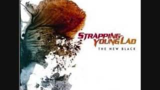 Strapping Young Lad-Decimator