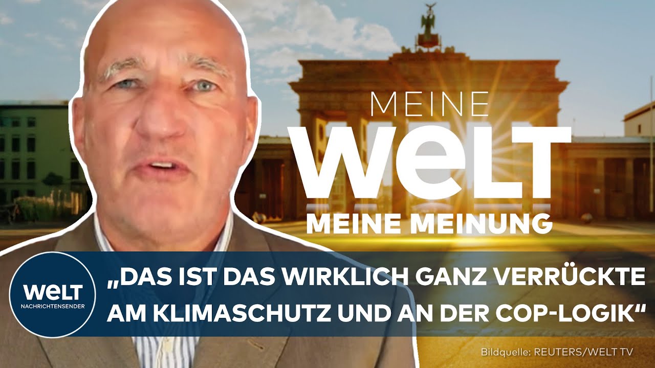 MEINUNG: Kernkraft statt Gas! So handeln USA und Japan beim Klimaschutz und senken Preise