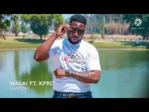 Slap Dee ft KPRO walai