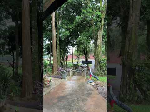 #shorts Loja Wilson Artes Rodovia 466 Turvo PR