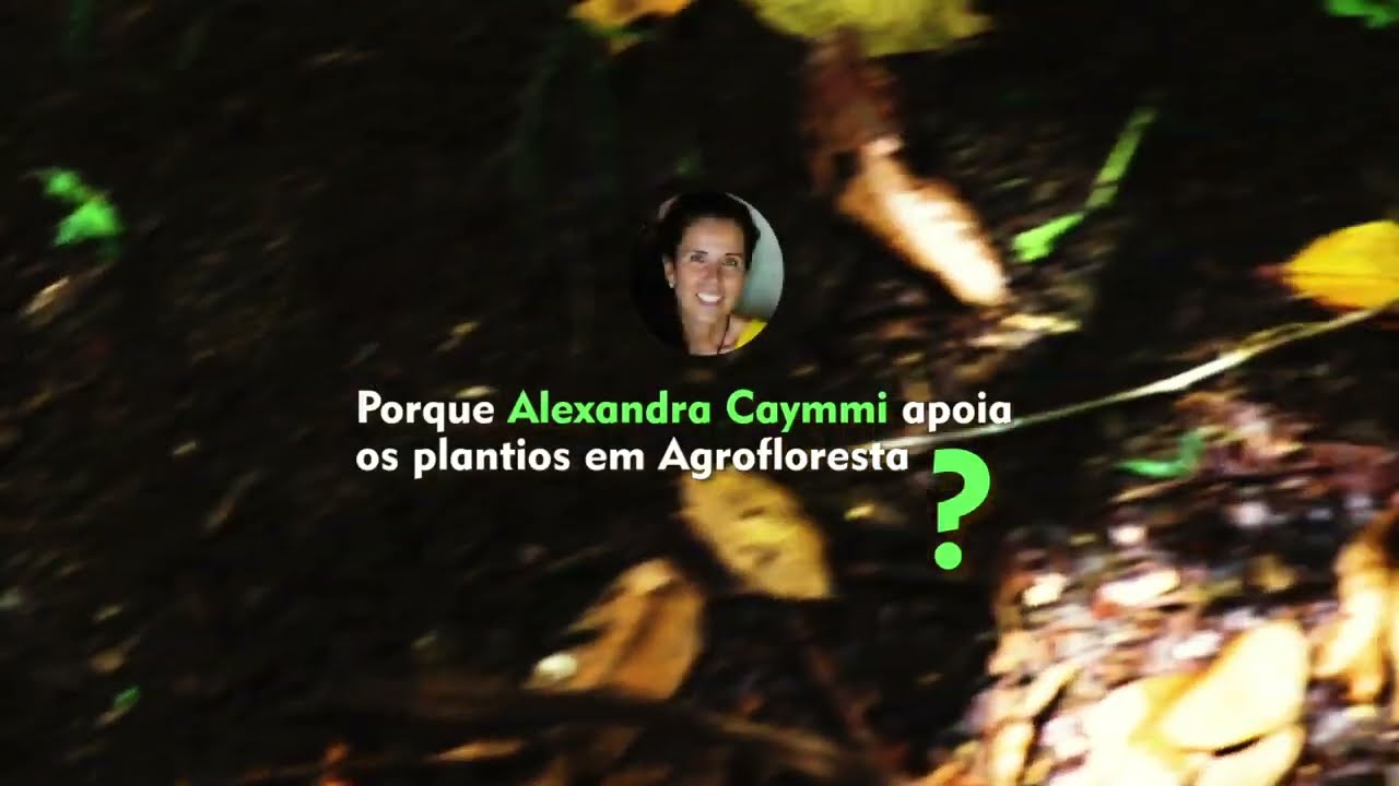 Vivência de Agrofloresta — vídeo