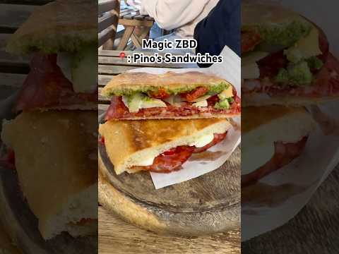 Best paninis in Florence?! 🥪🤯 #florence #panini #sandwich #salami #sandwichrecipe #italianfood