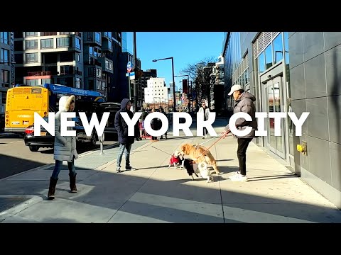 Morning Walk in Long Island City with New York Skyline View | 4K 60fps NYC Walking Tour