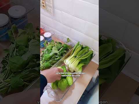 Gambar Stora Wadah Makanan Kulkas Plastik Dengan Tutup Handy 5 Liter Transparan