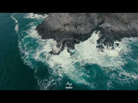 Cut And Run - Beat Service Ft. Emma Lock || Vocal Trance Female || ALEXPAINT