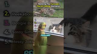 Download lagu Ranking Funniest PARROT TALKING Moments mp3