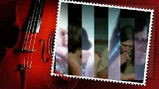 Baustelle - I provinciali